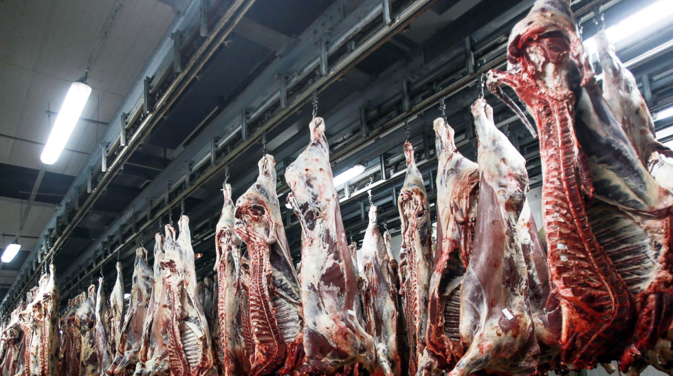 Viande rouge : le Ramadan ravive la fracture alimentaire